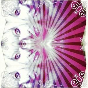 Meet your Posher, Jeannie